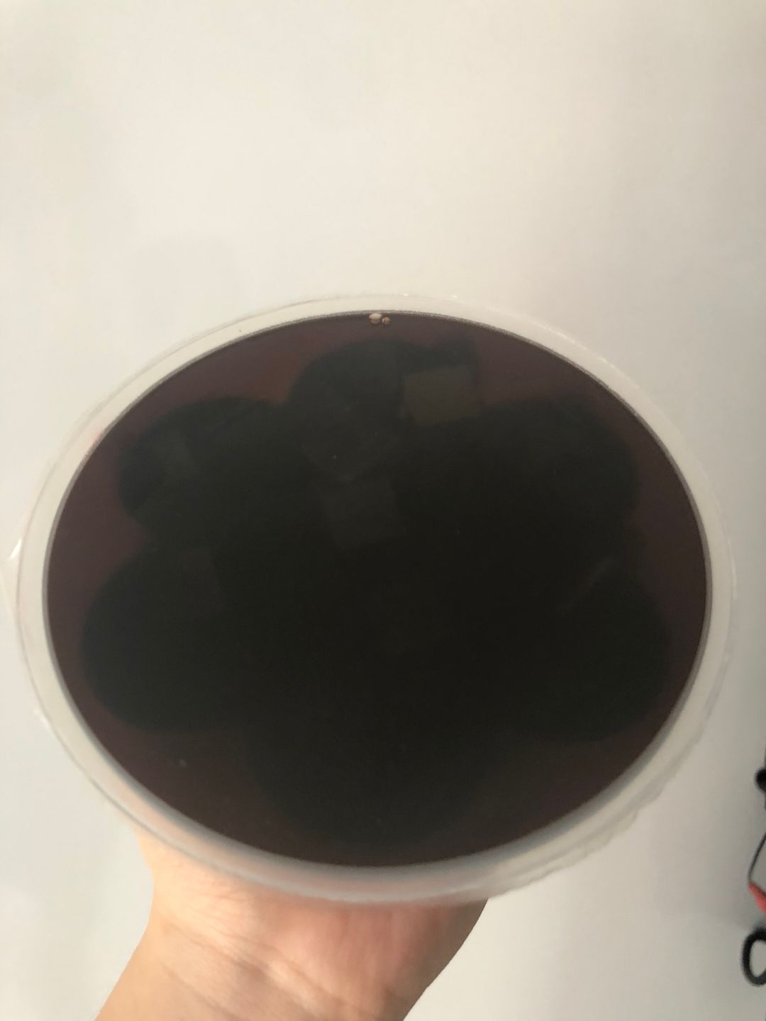 (POPULAR!) Chinchow - Grass Jelly (Nata De Coco)