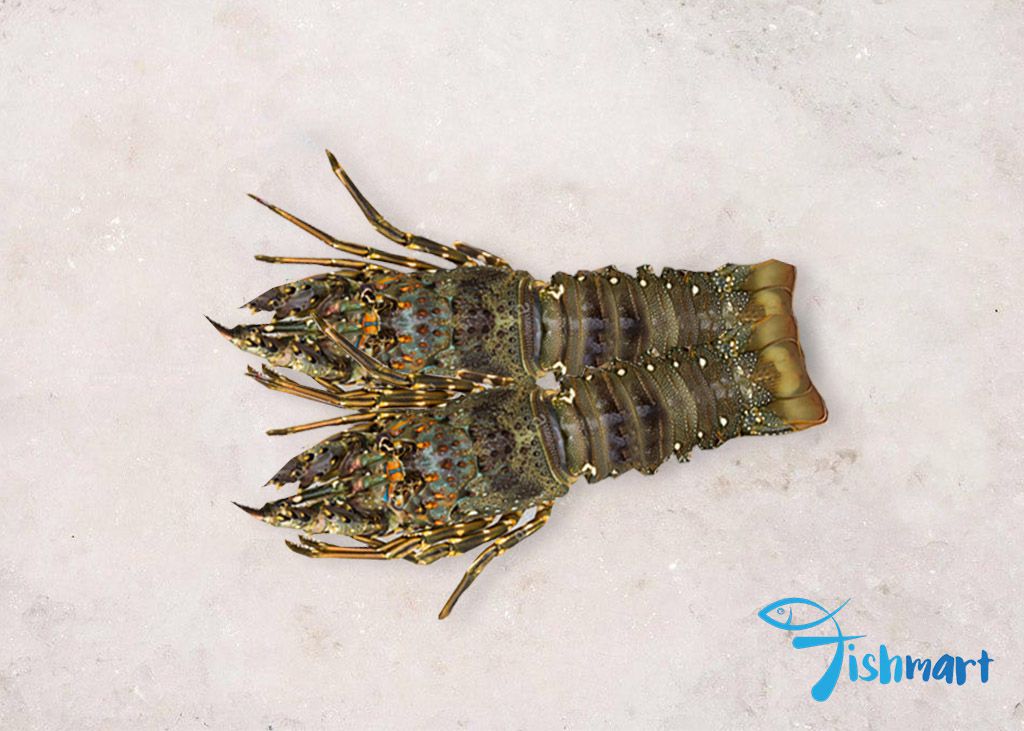 Frozen Premium Lobster 