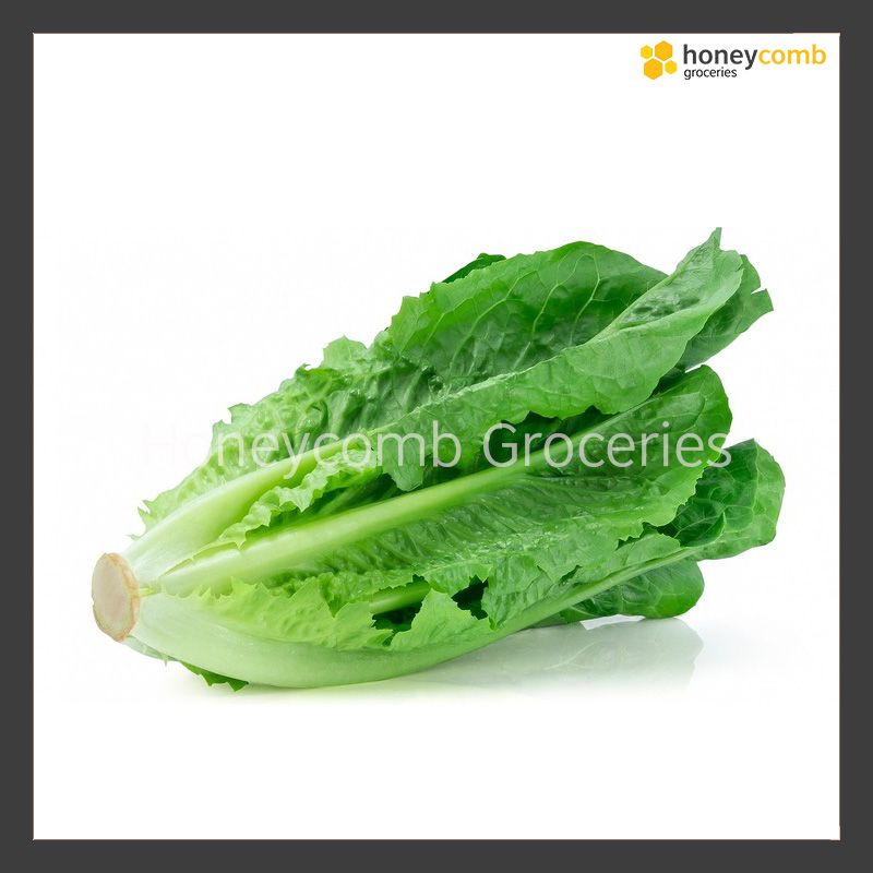 Baby Romaine Lettuce (250g)