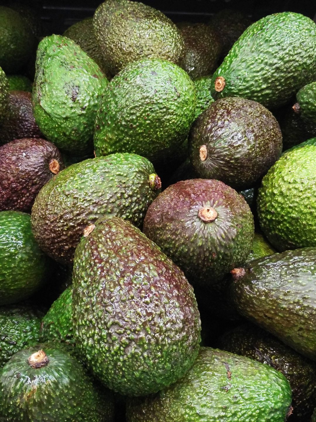 Avacado