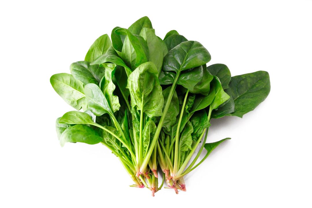Spinach 菠菜