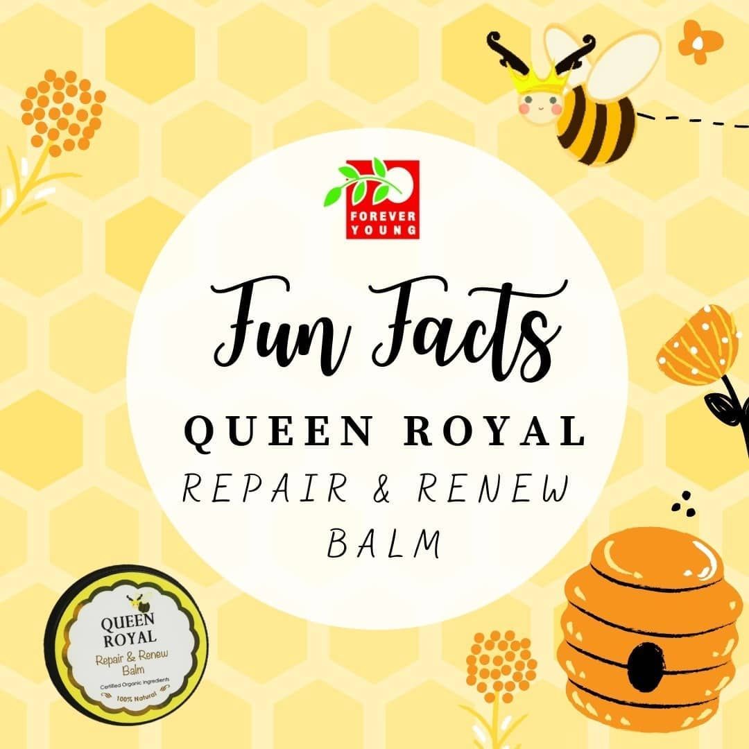 Queen Royal Repair and Renew Bee Balm