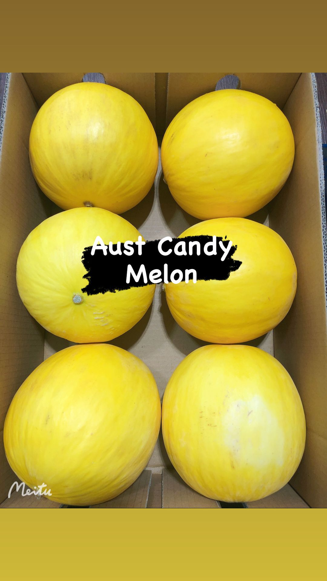 Aust Candy Melon 