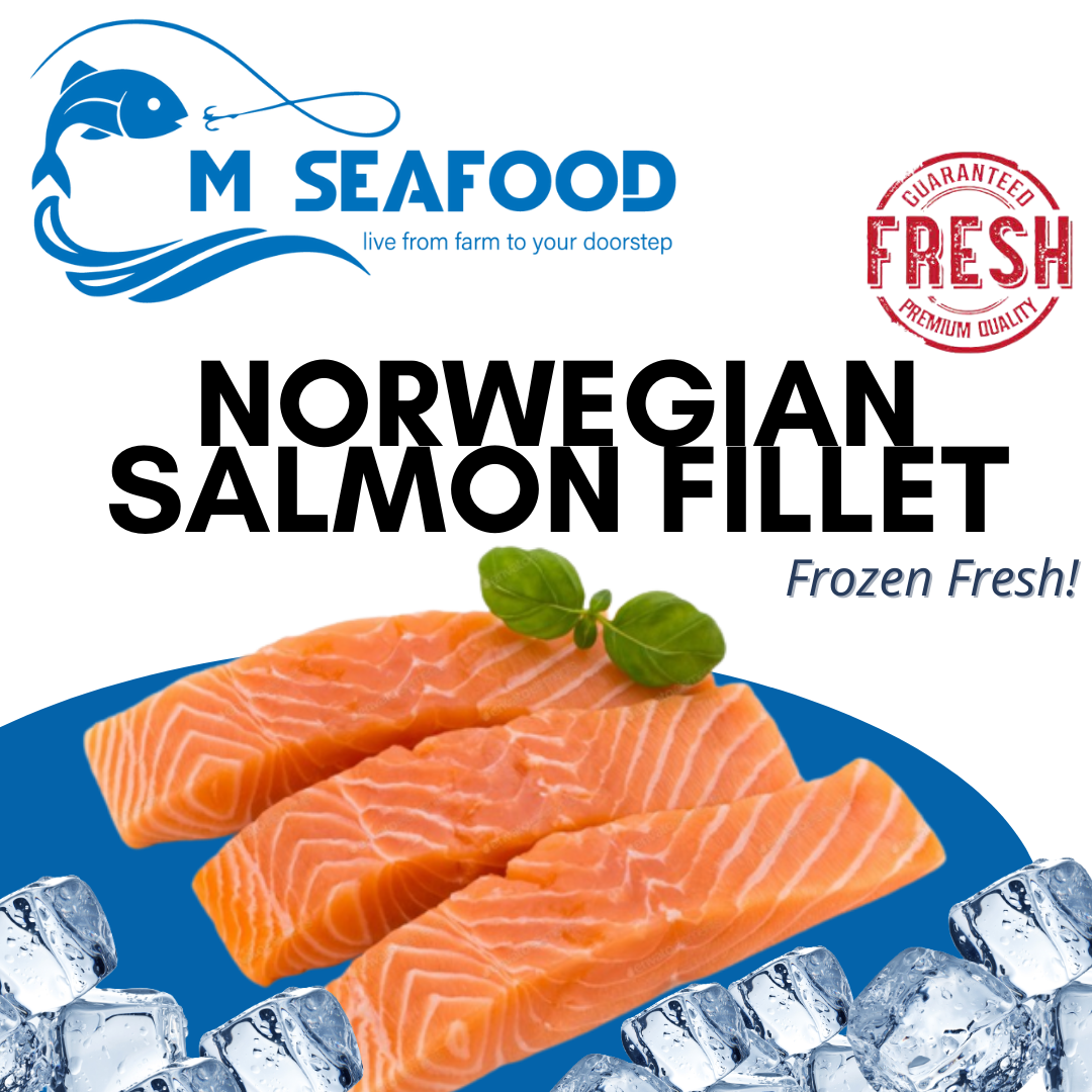 Premium Norwegian Salmon Filet (三文鱼肉)