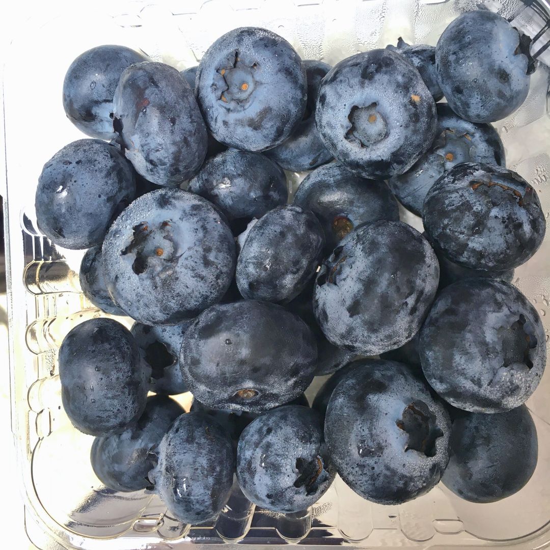 PERU Jumbo Blueberries 125g