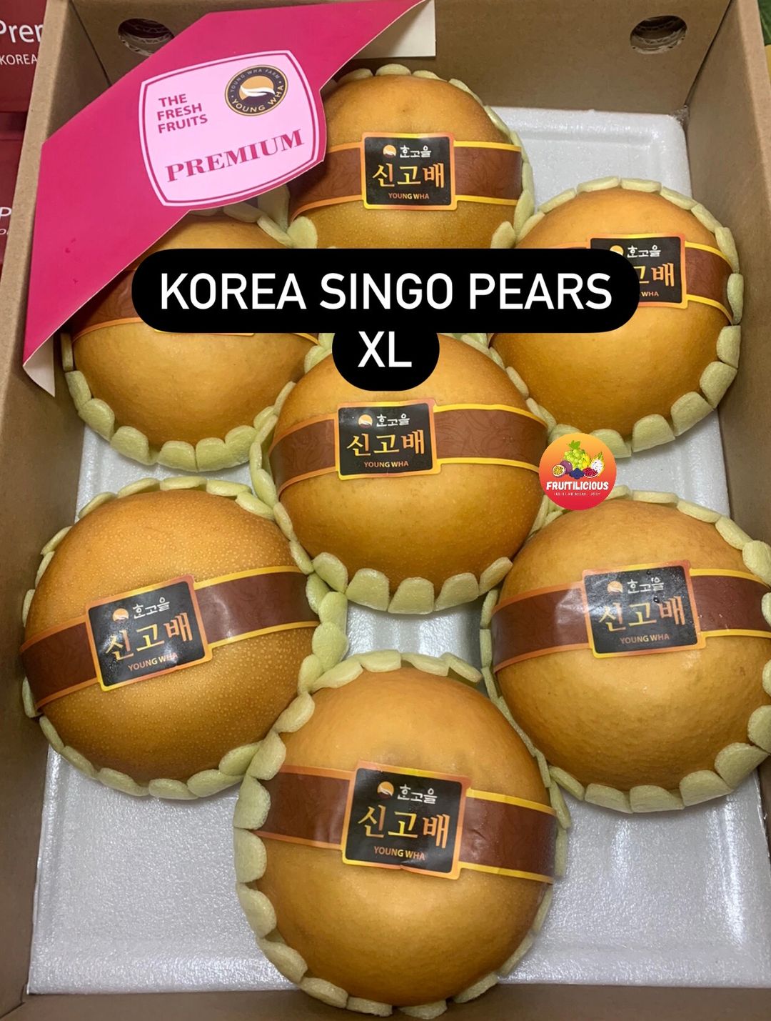 KOREA SINGO PEARS XXL