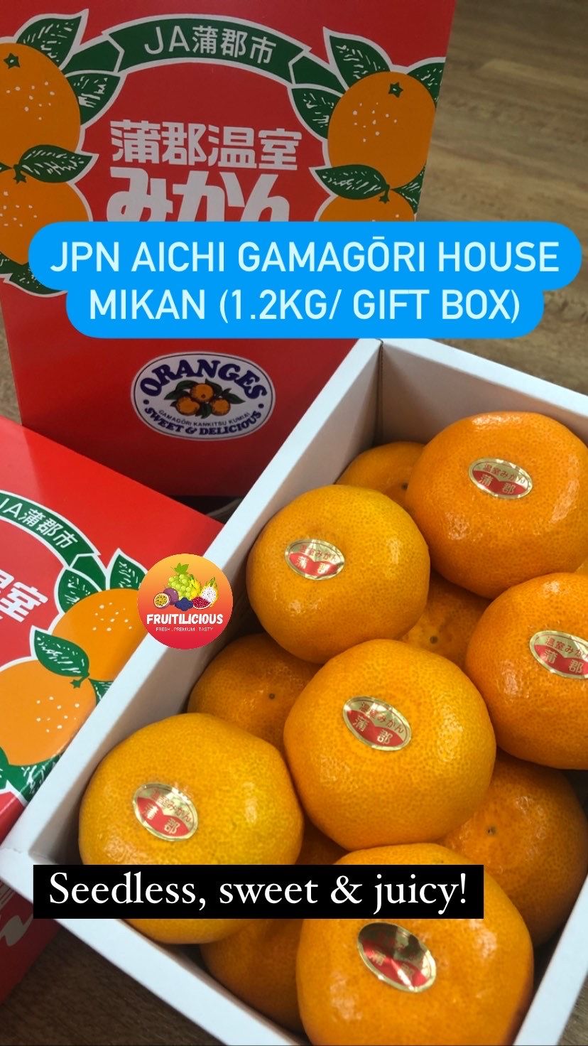 JPN AICHI GAMAGŌRI HOUSE MIKAN GIFTBOX (1.2KG)