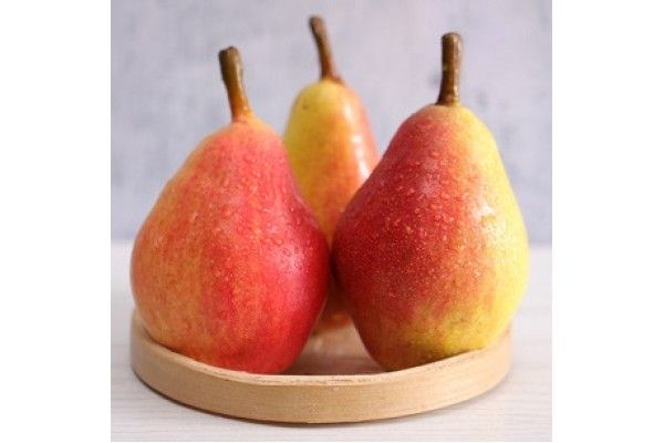Pears - 梨