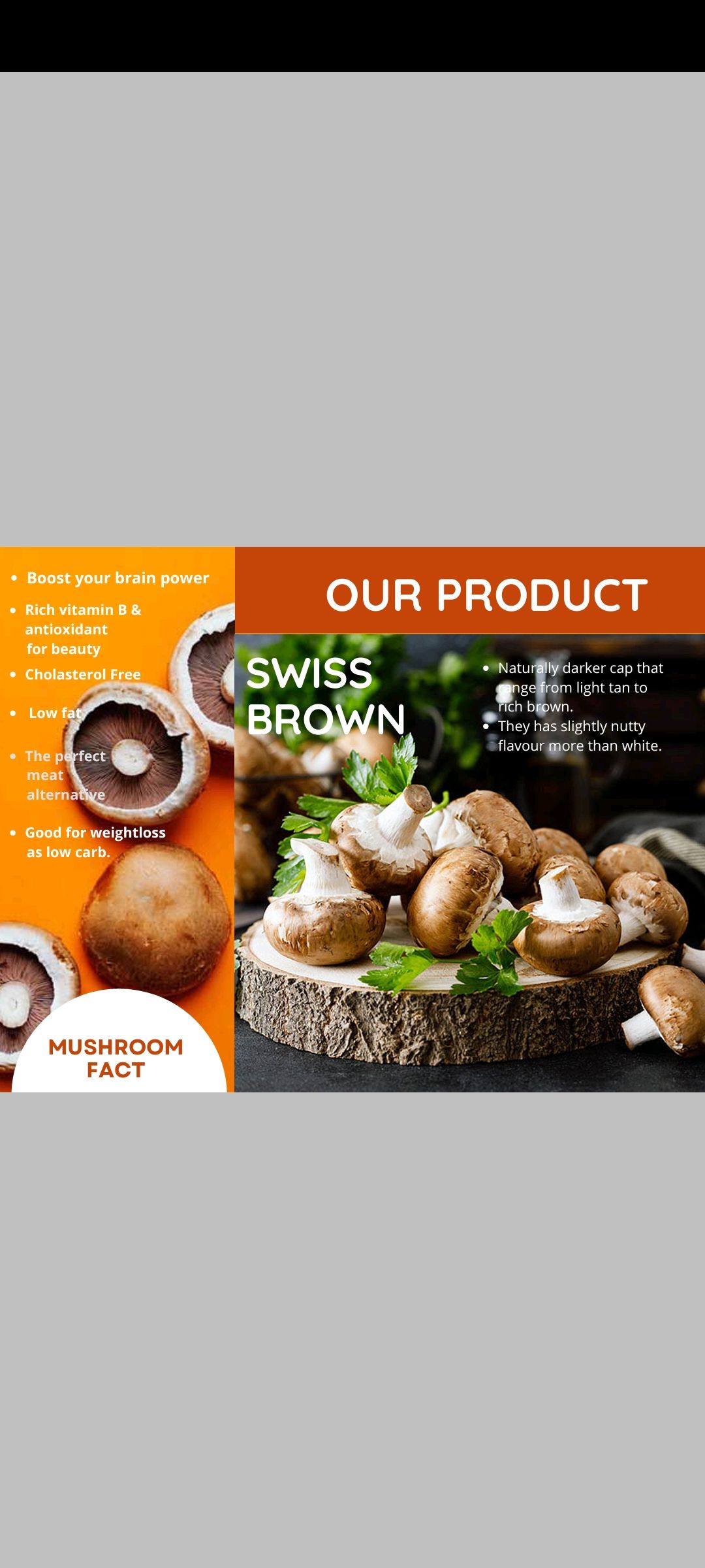 Local organic mushroom 