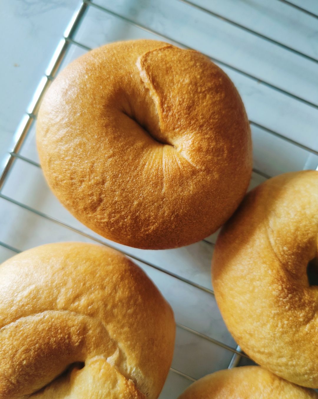 Sourdough Classic Bagels 