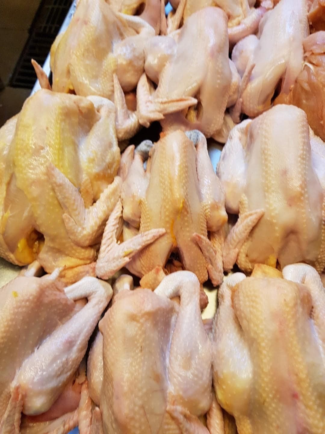 FREE RANGE CHICKEN / AYAM 天然走地鸡 (>2KG)