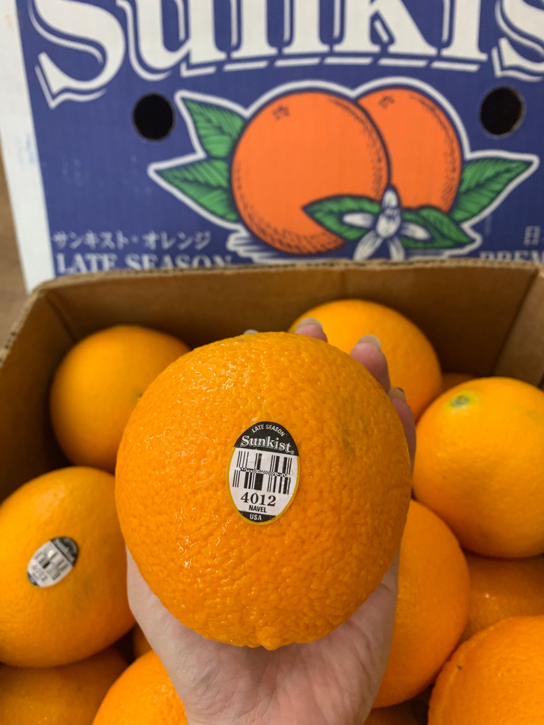 US SUNKIST NAVEL ORANGES XL