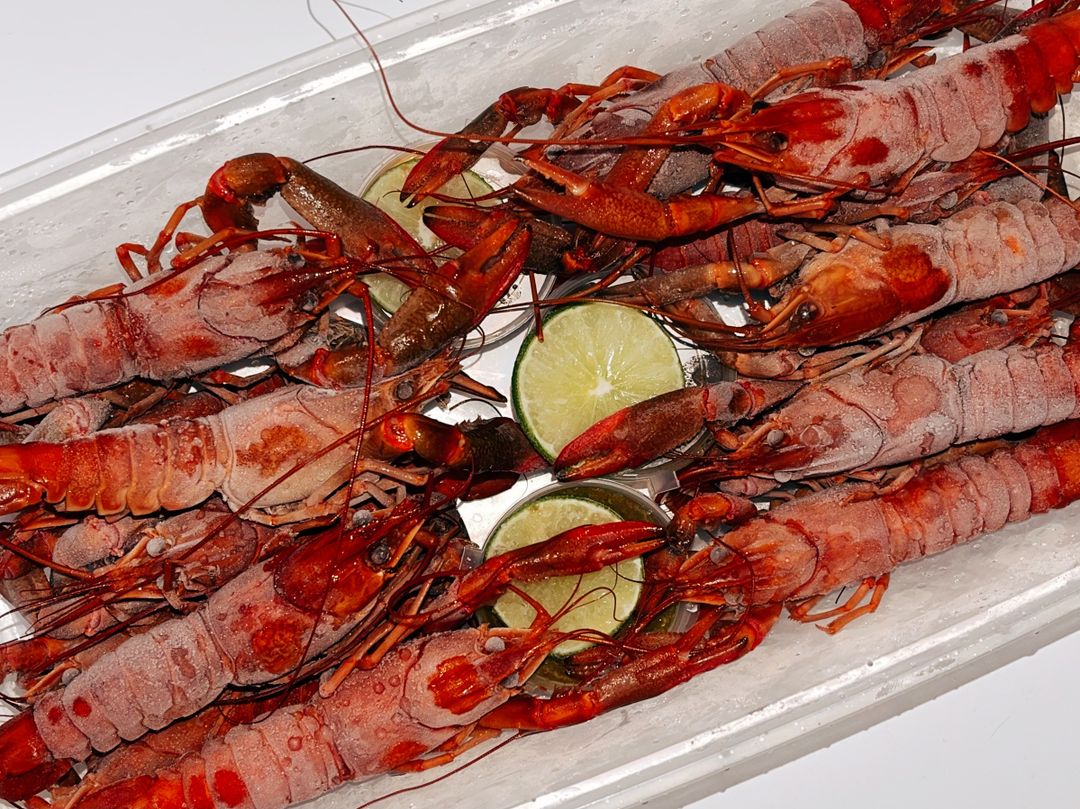 Premium Australian Crawfish 小龙虾 1KG (FROZEN)