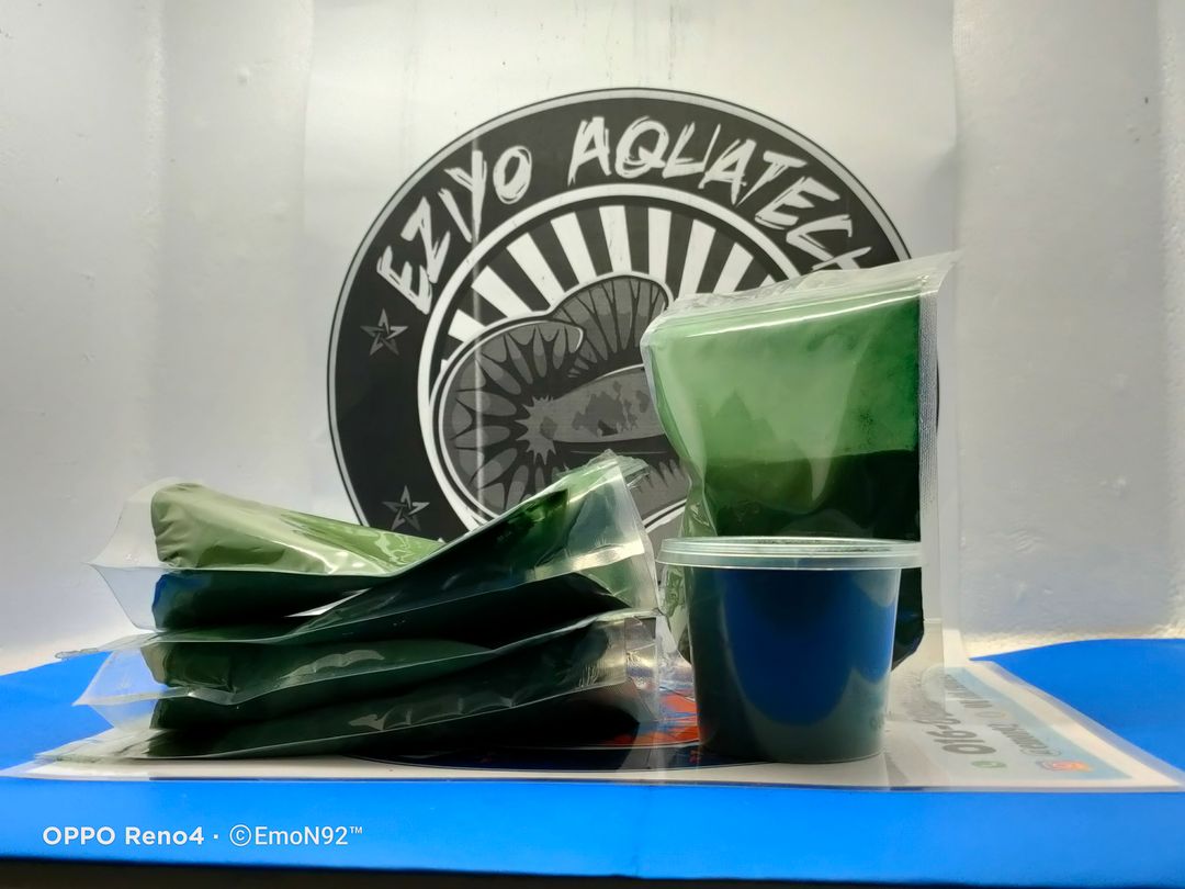 SPIRULINA (Serbuk)