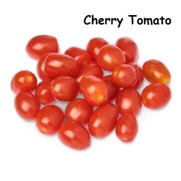 Cherry Tomato 樱桃番茄