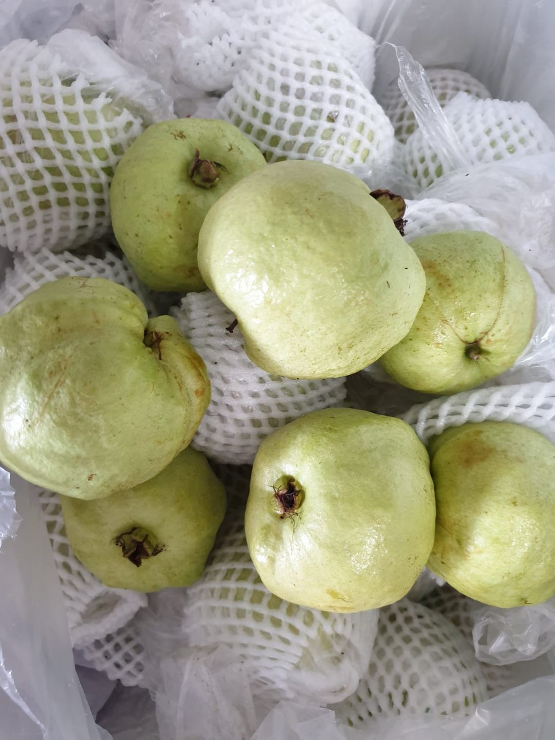 🌿Thai Seedless Guava (800g/bag)