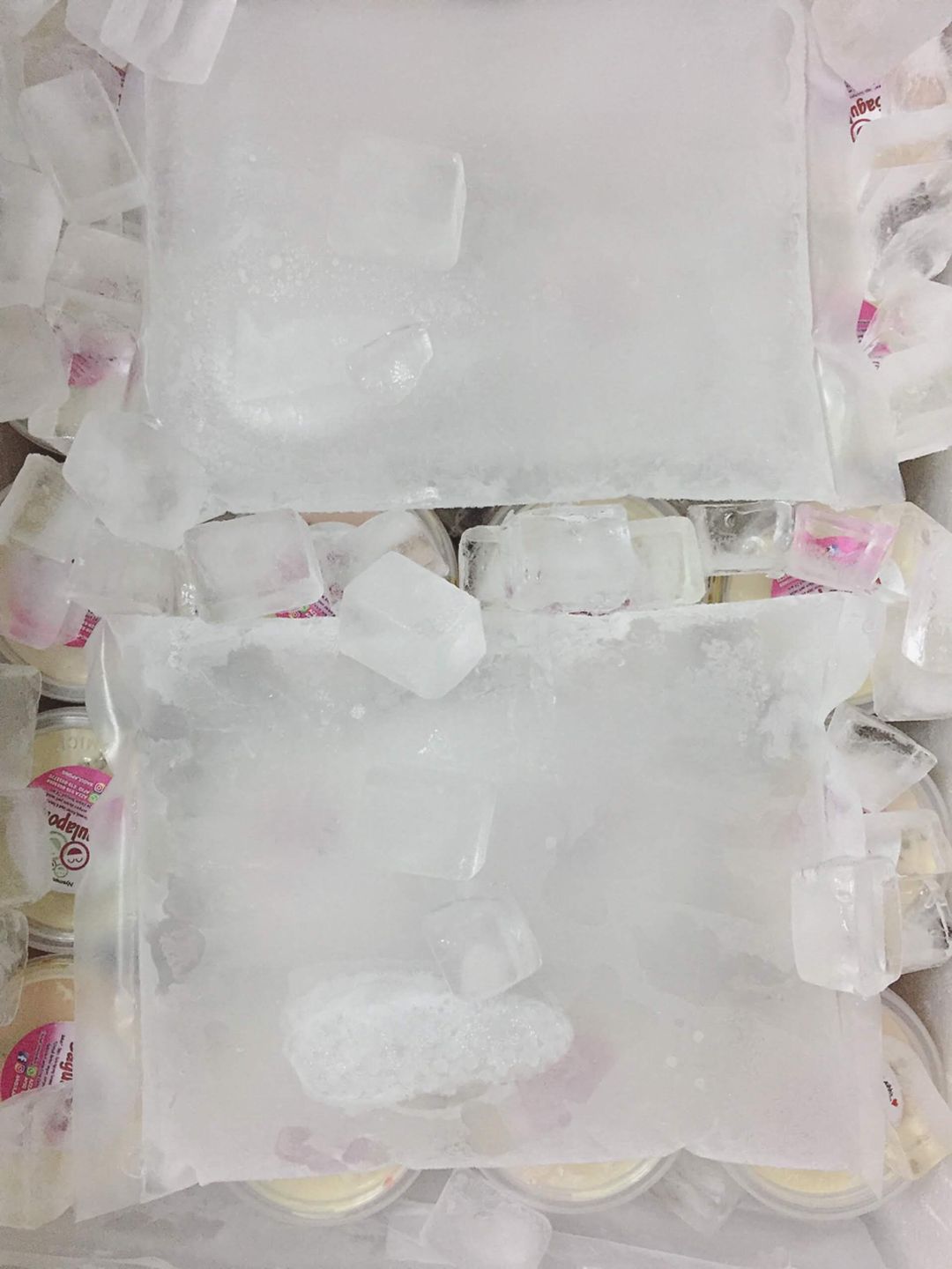 Foam Box + ice packs + ice cubes 