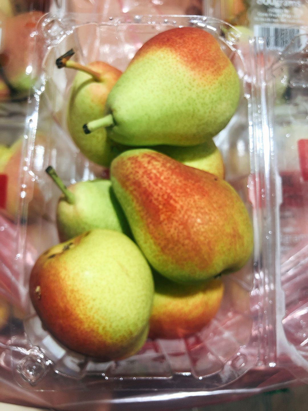 South Africa Blush Pear