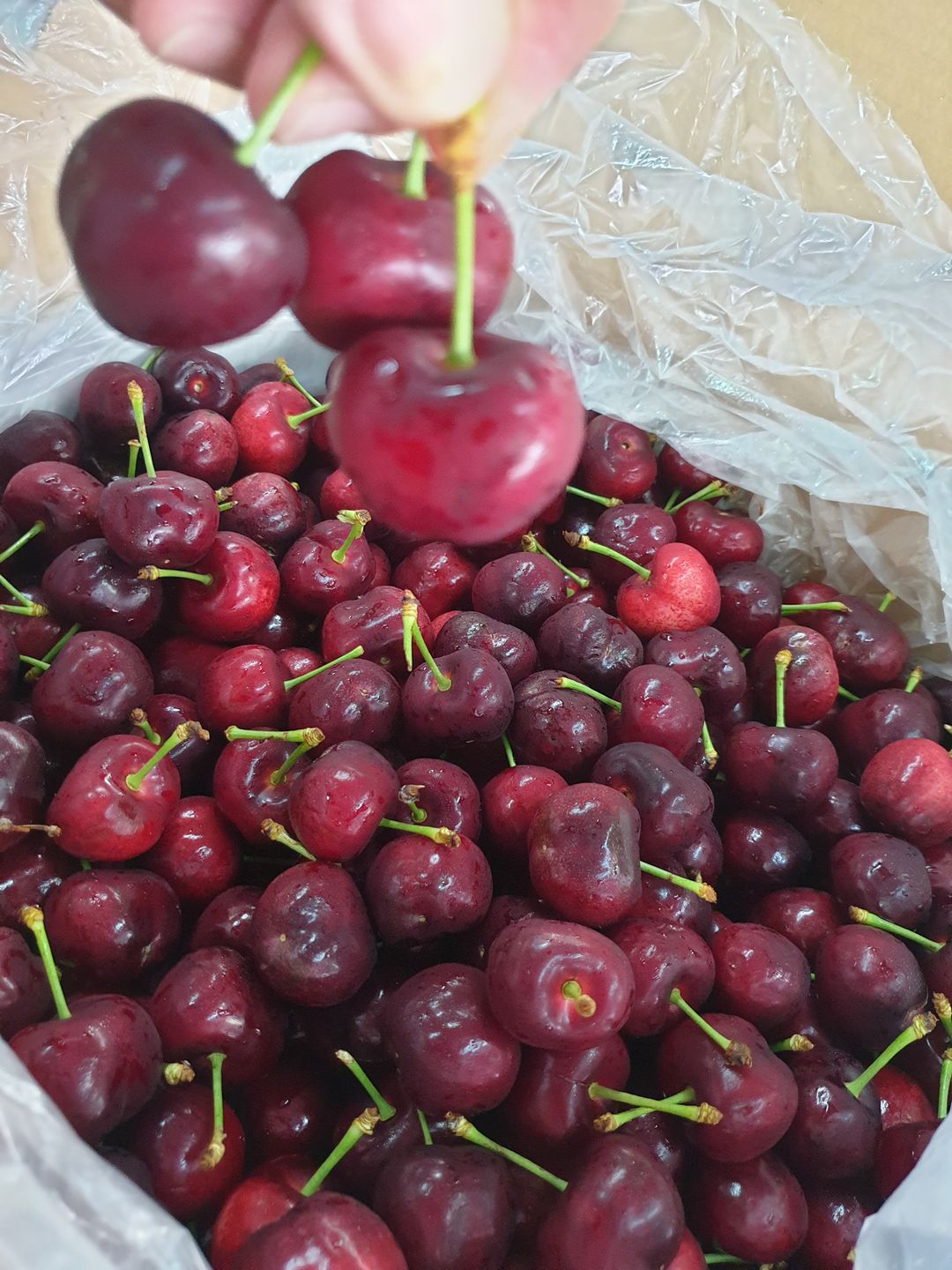 🍒US Premium Cherry 500g/bx