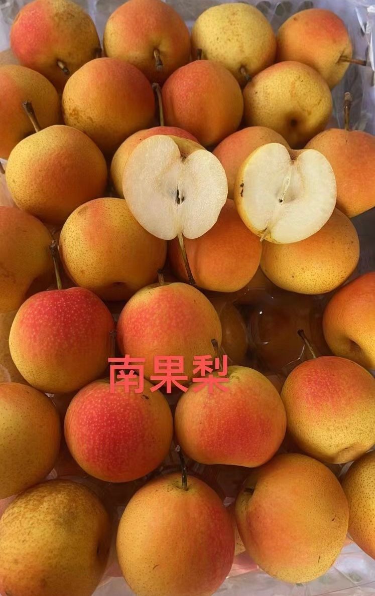 🍐南果梨$9/1kg