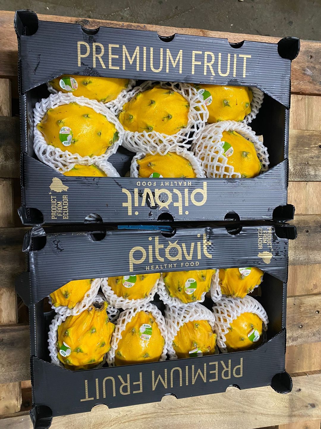 Yellow Dragonfruits 7/8/9s 2.5kg