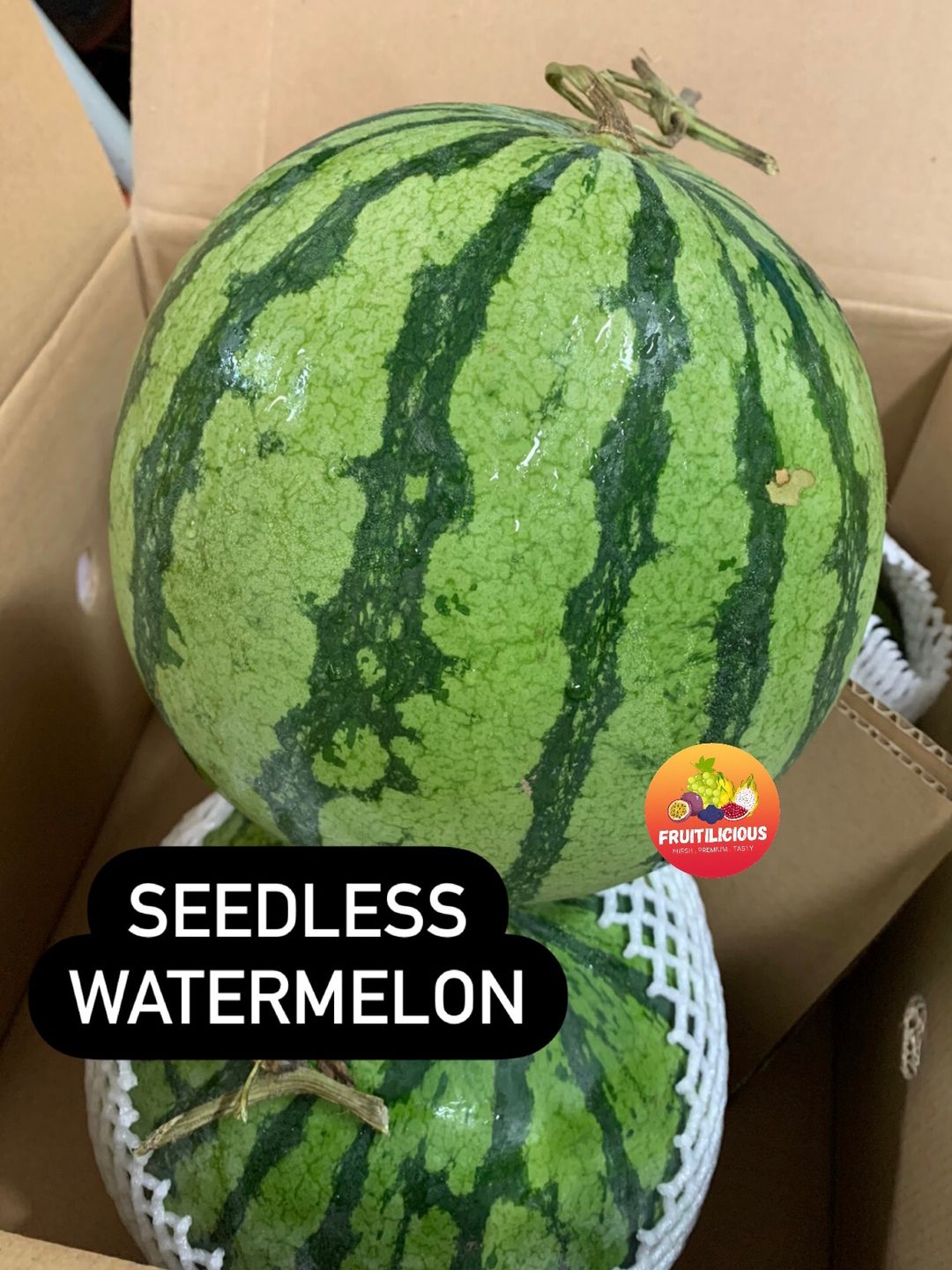 SEEDLESS WATERMELON XL