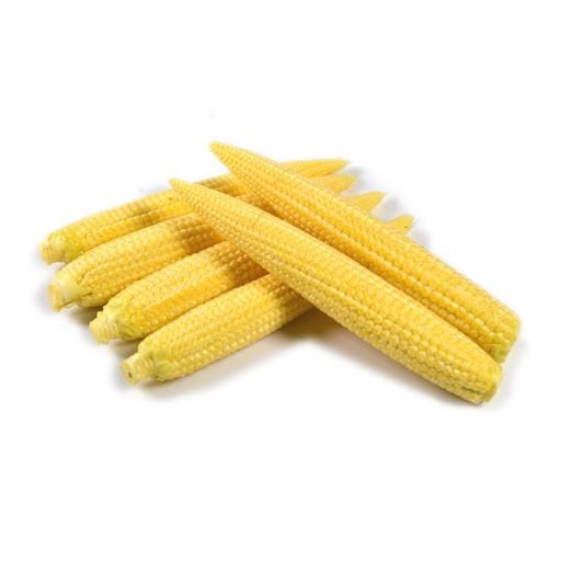 Putik jagung