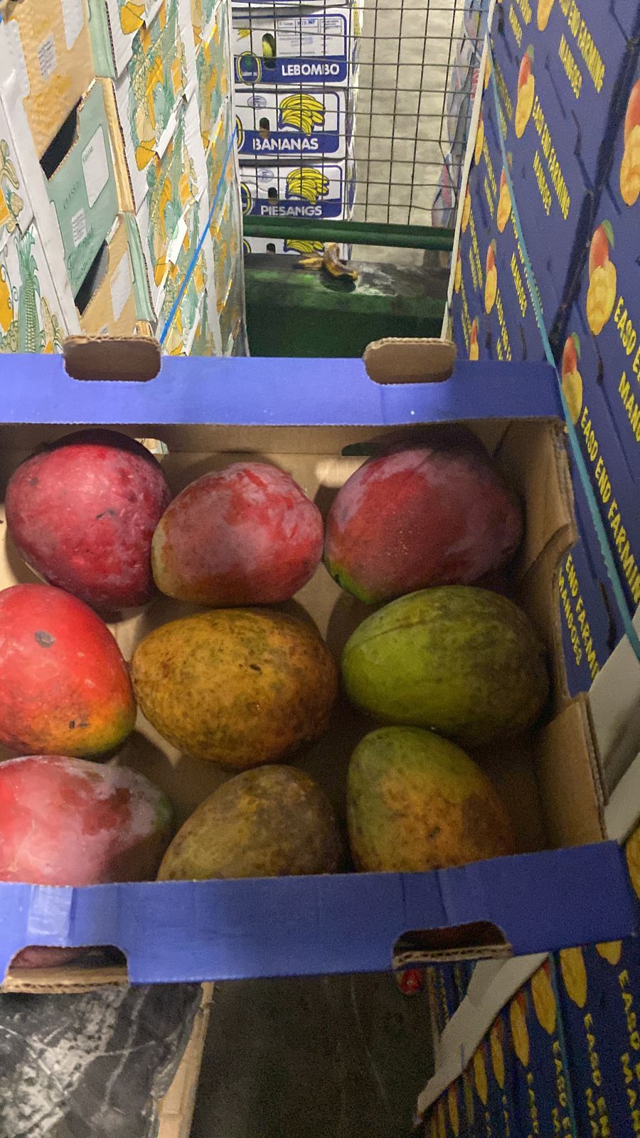 Mango 