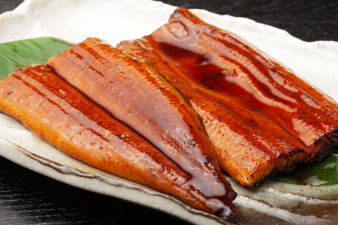 Unagi Kabayaki 
