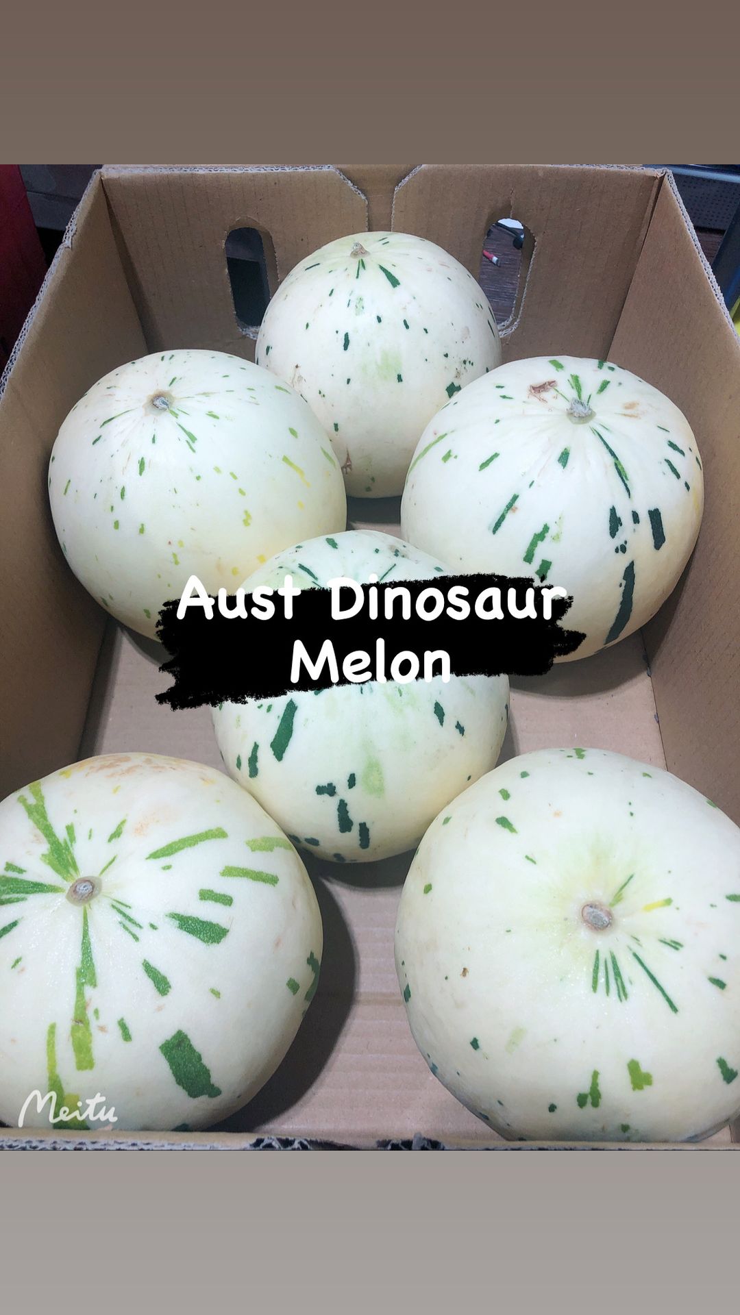 Aust Dinosaur Melon