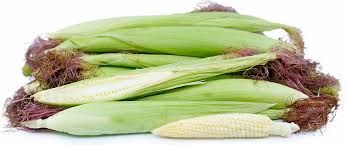 Baby corn 玉米芯