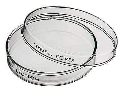 PYREX USA Petri Dish with Lid, Borosilicate Glass (60 x 15mm) (CG-3160-60)