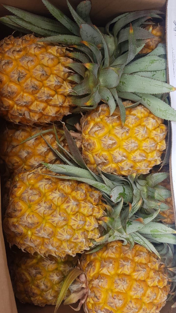 Pineapple 