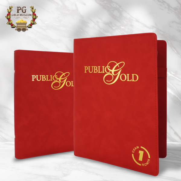 Public Gold Exclusive Album Version 2
