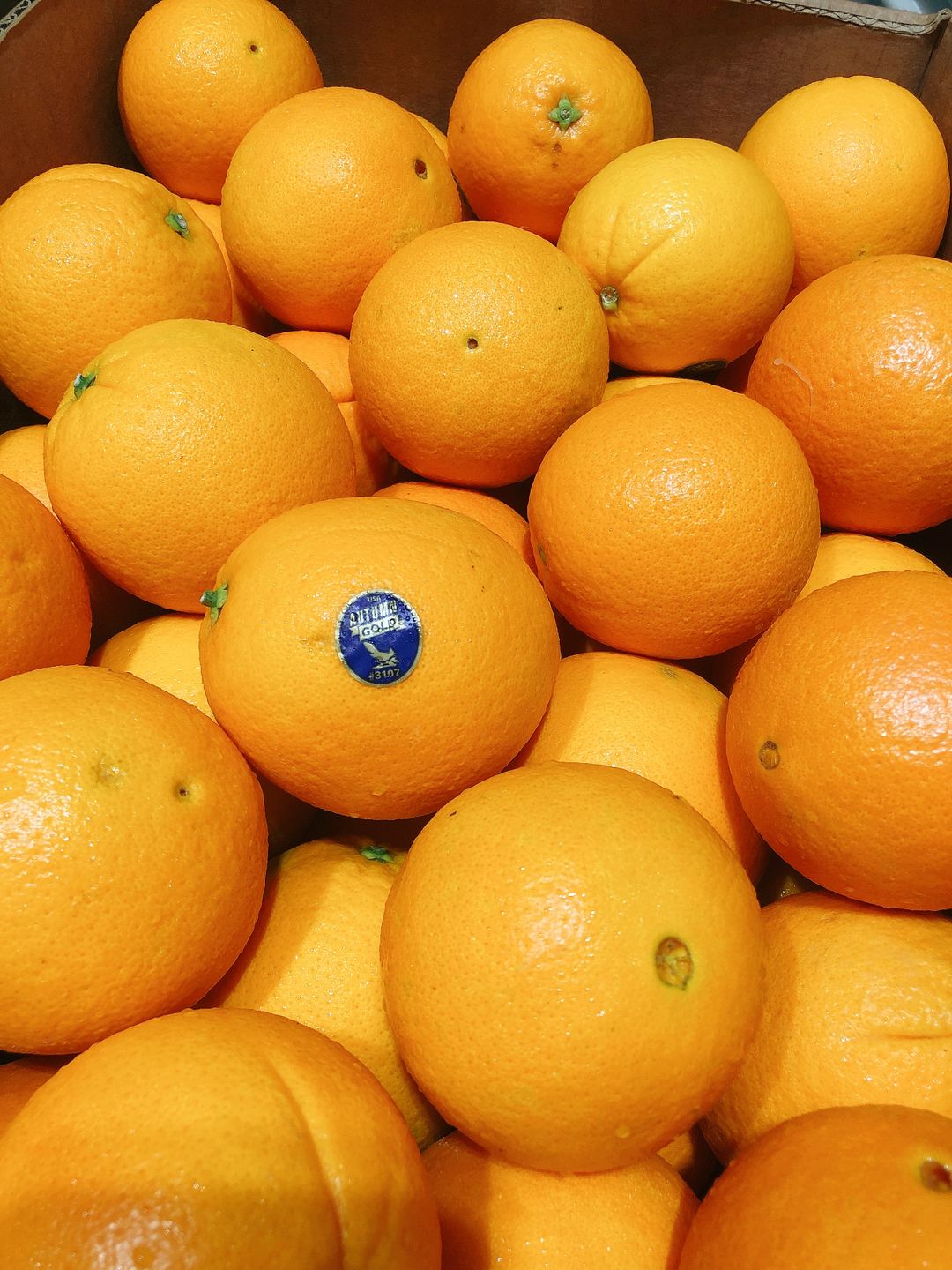 USA Navel Orange Jumbo (Purespec)