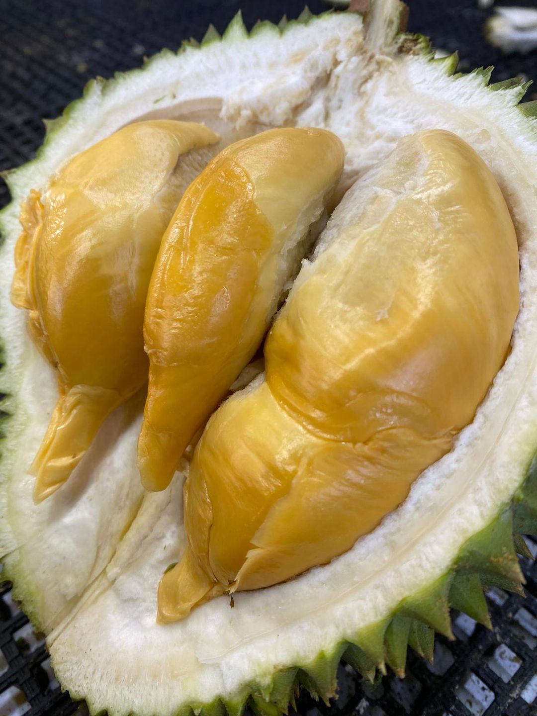 D13