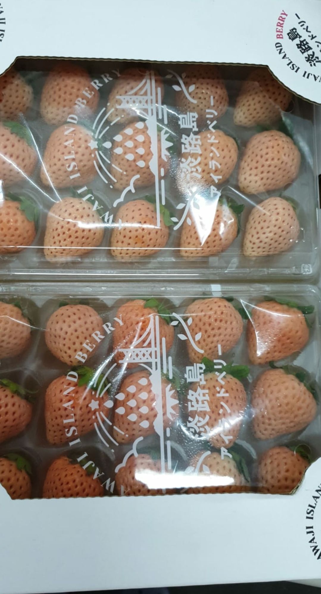 🍓🌸Japan Premium White Sweet Strawberry 2 punnets 