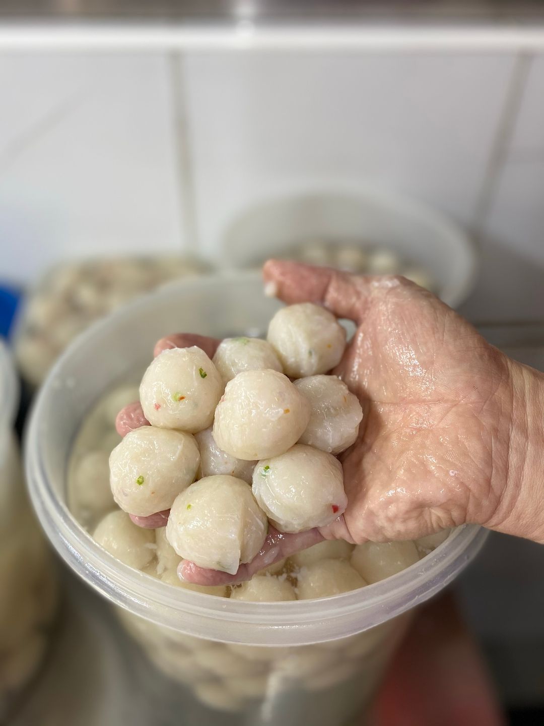 Handmade Fishballs 鱼圆