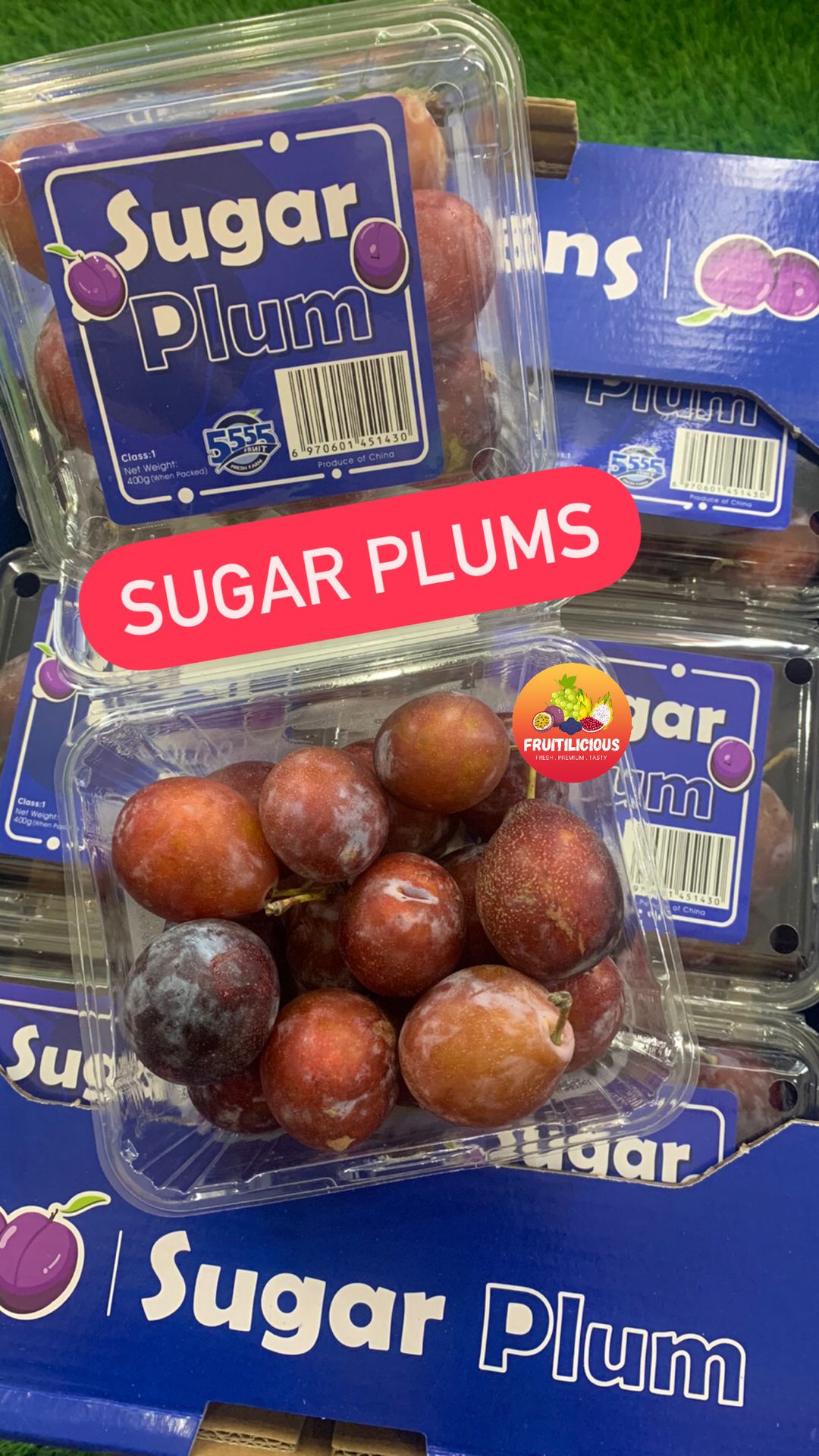 CHN SUGAR PLUMS