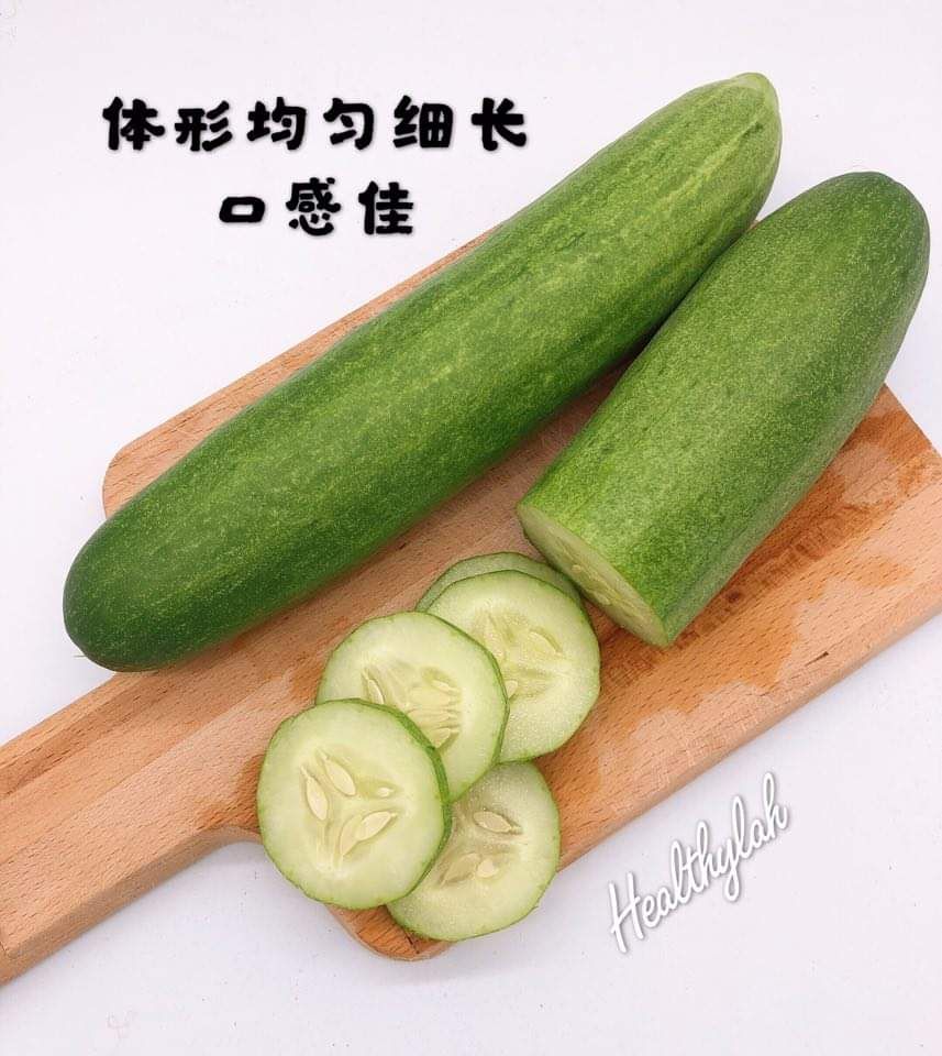 CUCUMBER / TIMUN 黃瓜