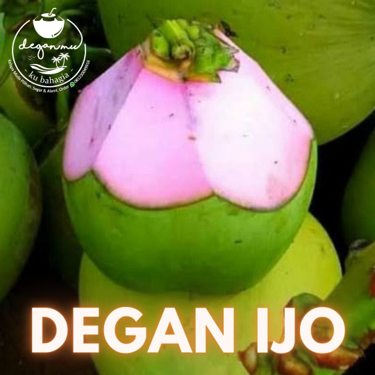Degan Ijo