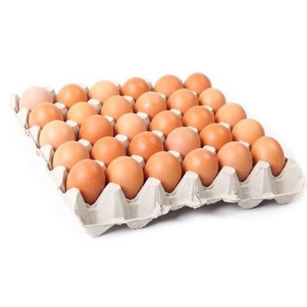 Telur