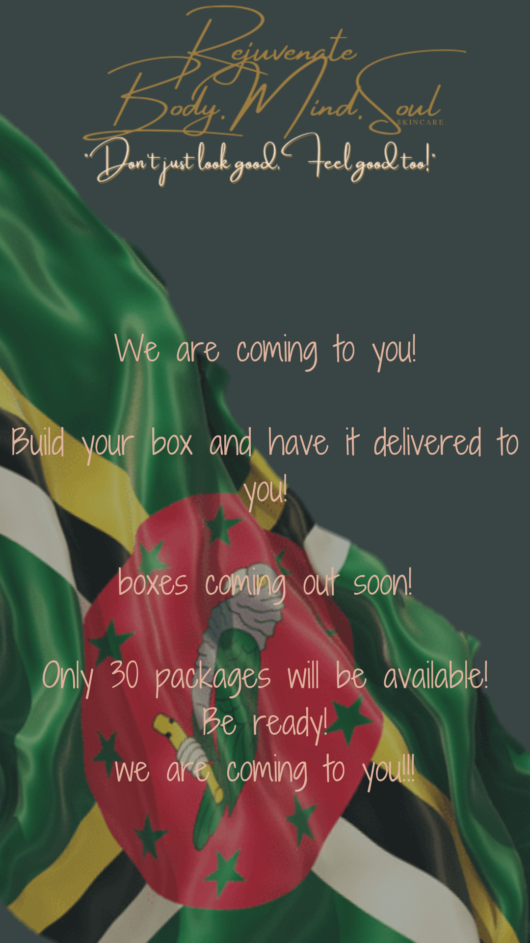 Build your box Dominica