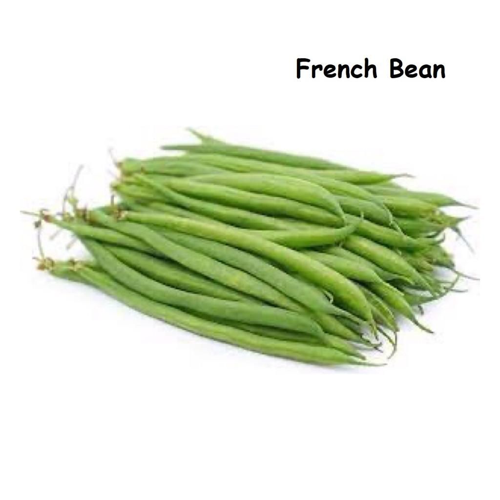 French Bean 四季豆