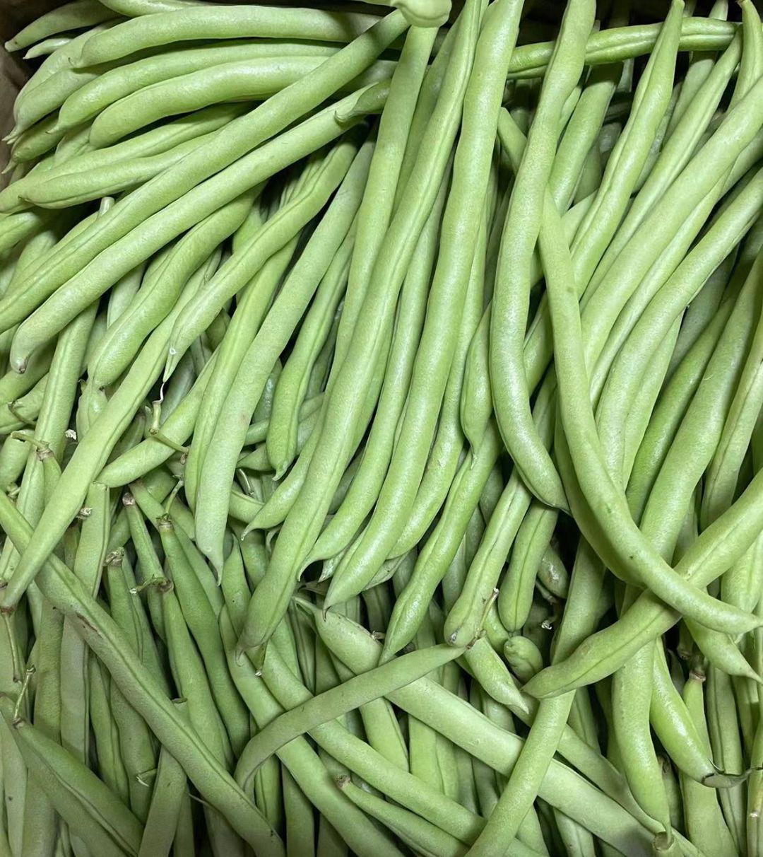 小豆角（架豆王） -$7/1kg