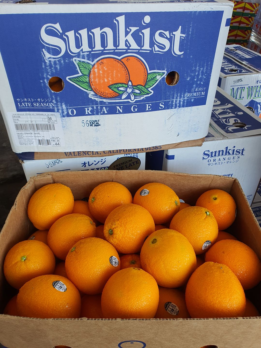 Sunkist Navels (6 per set) 