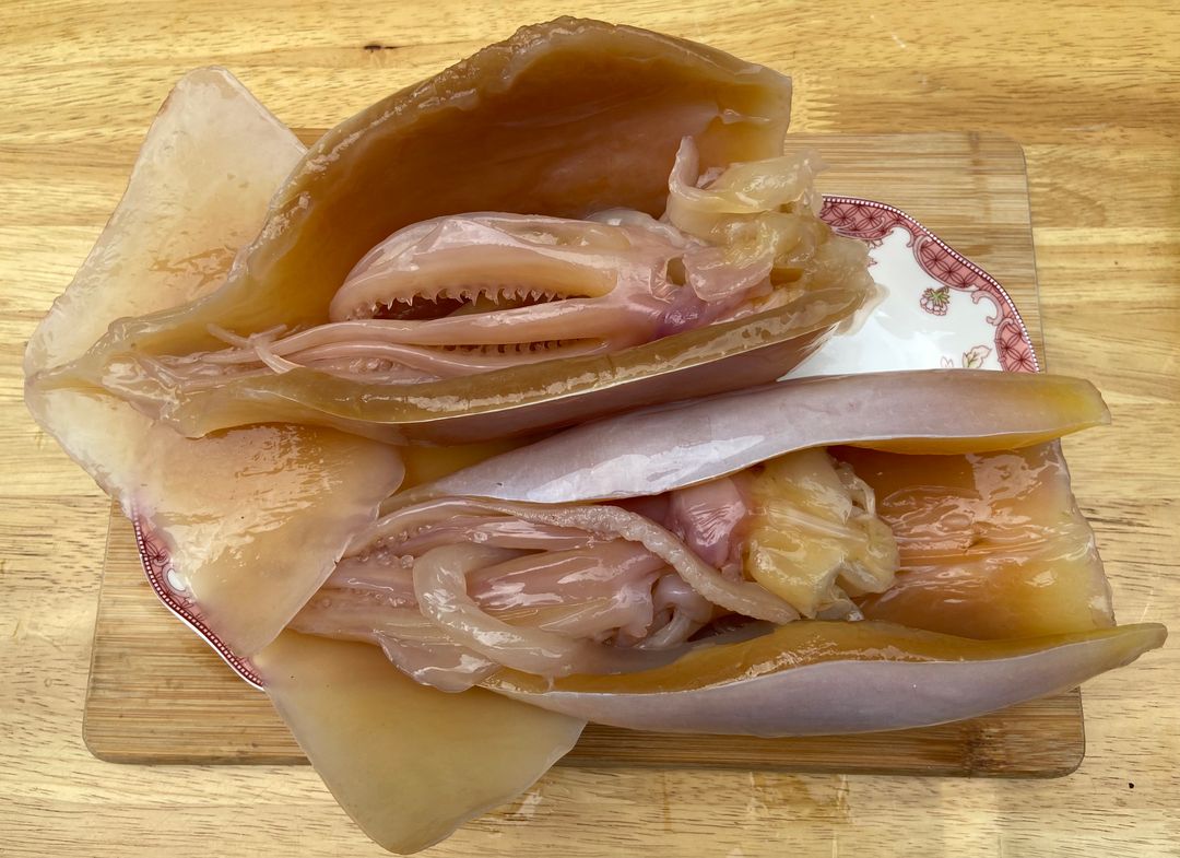Fresh Cuttlefish 鱿鱼