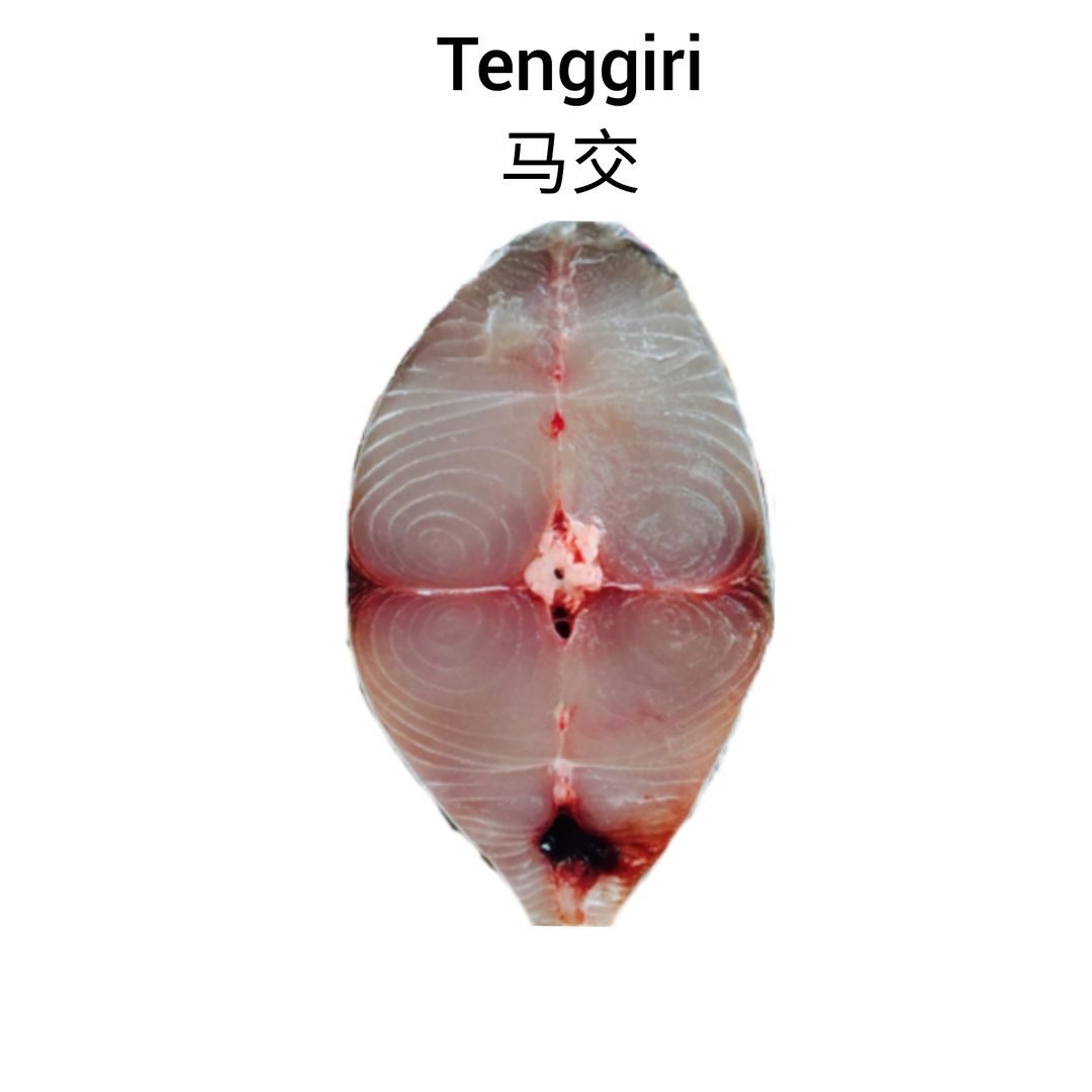 Tenggiri [cut] 马交