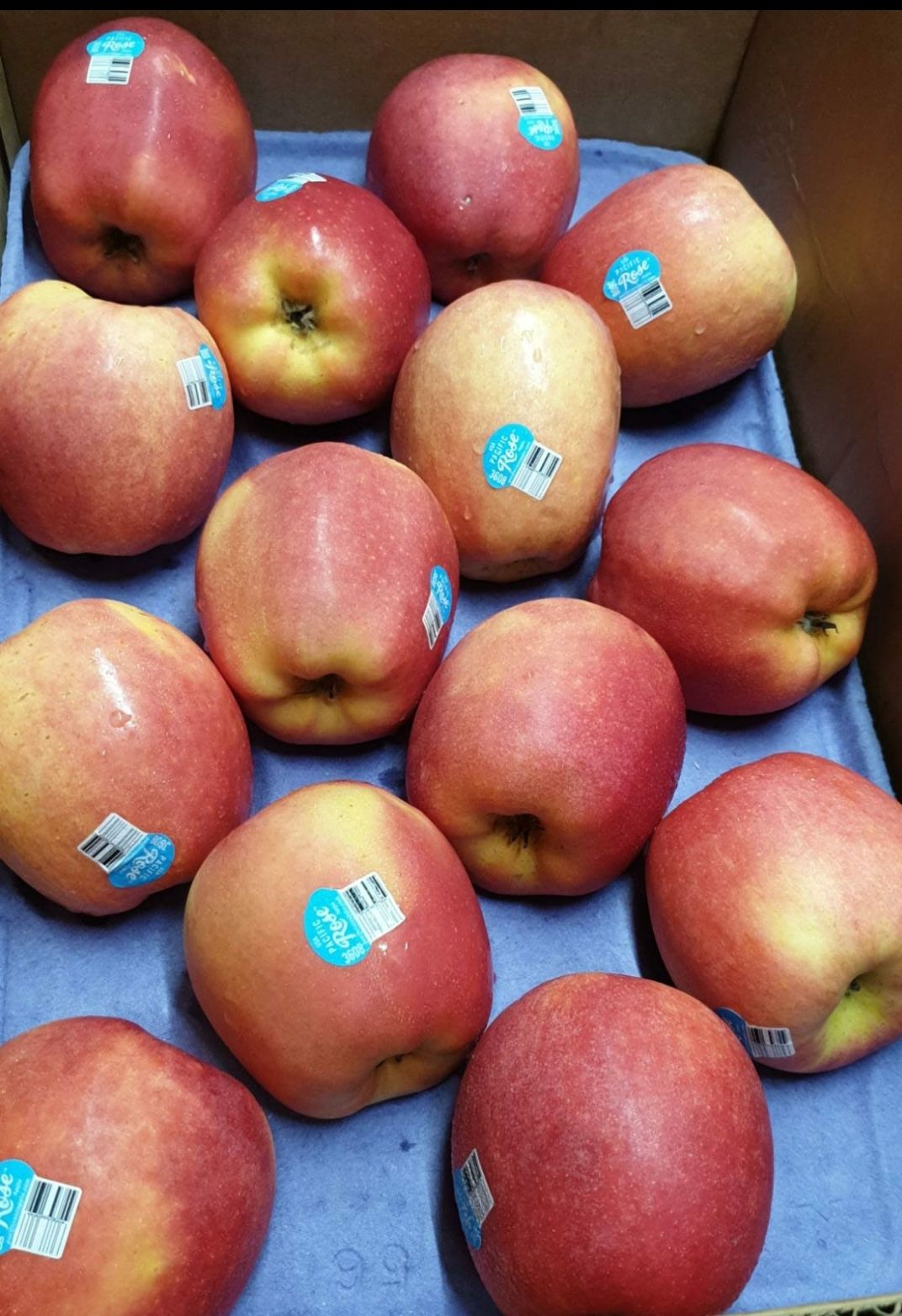 🍎US Rose Apples (3pcs/bx)