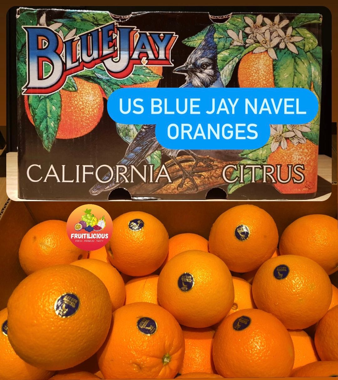 US BLUE JAY NAVEL ORANGES (XL)